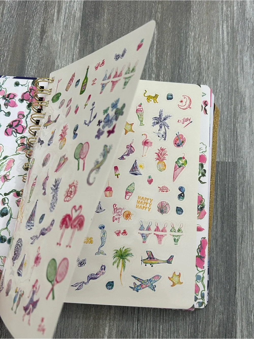 NWT Lilly Pulitzer 17 month agenda 2025 / 2026